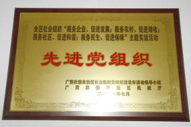 公司荣获新社会组织先进党组织
