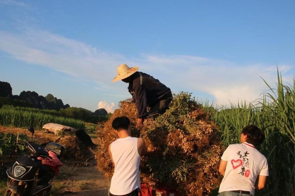 八桂金融新鲜事：亚搏app登录入口“燃梦课堂”实践队走进乡村，为民服务